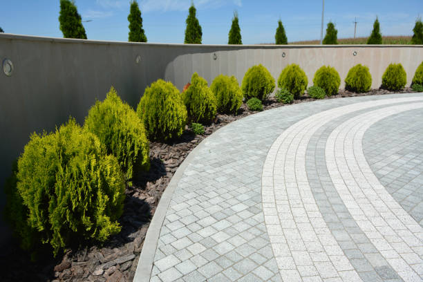 Reasons to Select Us for Your Driveway Paving Requirements in Orange City, FL